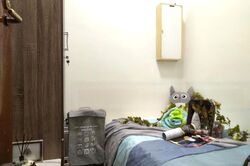 Parc Oasis (D22), Condominium #471465671